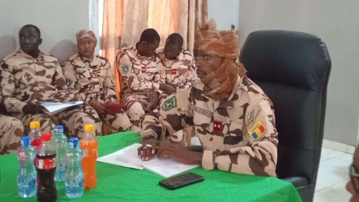 Forces militaires tchadiennes et centrafricaines lors d'une opération conjointe