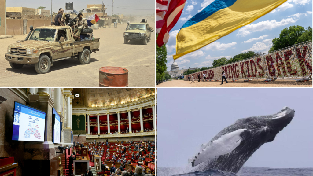 photomontage illustrant l’alliance entre groupes armés au Mali