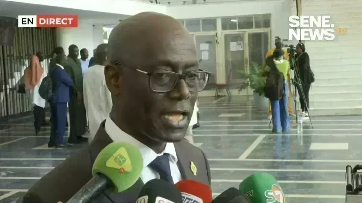 Thierno Alassane Sall s'exprime lors d'une session parlementaire
