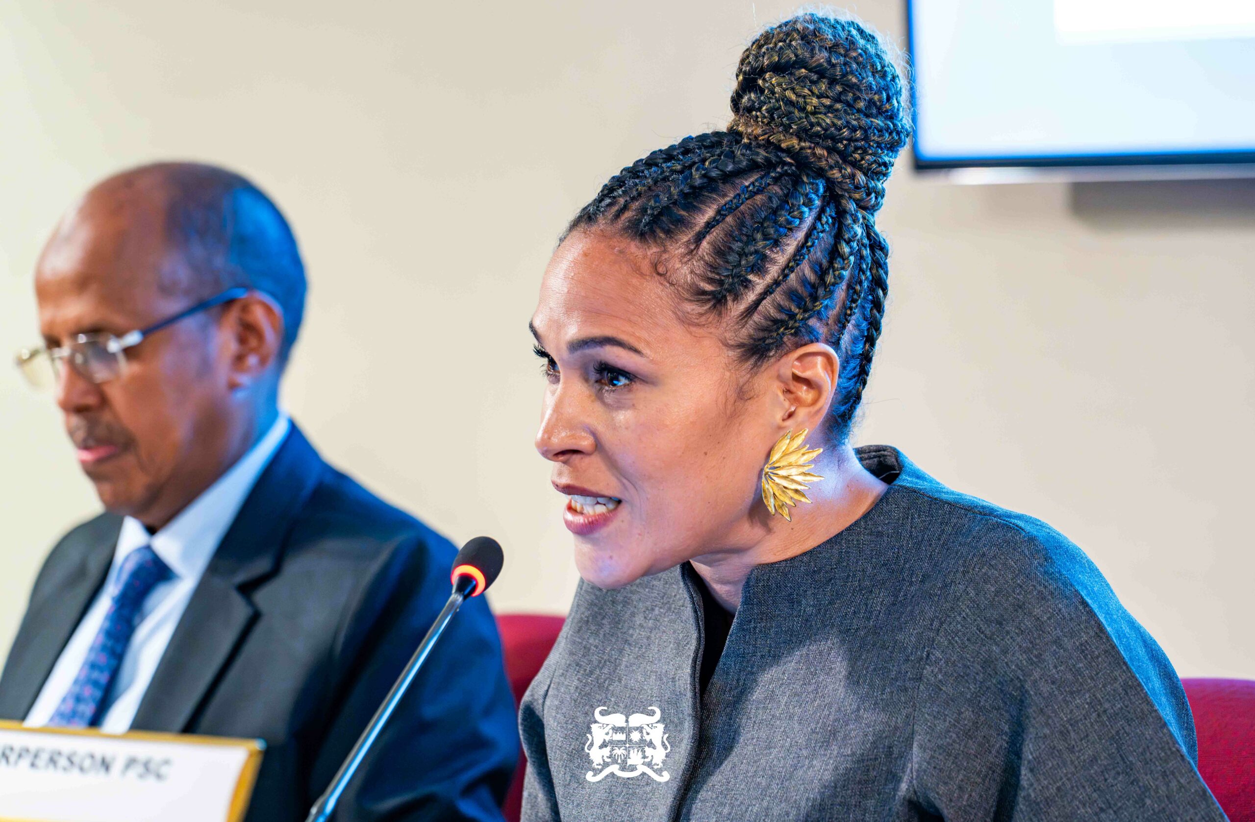 Réunion ministérielle du Conseil de paix et de sécurité de l'Union africaine à New York